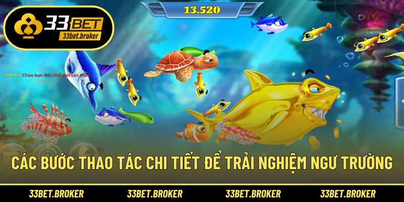 Các bước thao tác chi tiết để trải nghiệm ngư trường