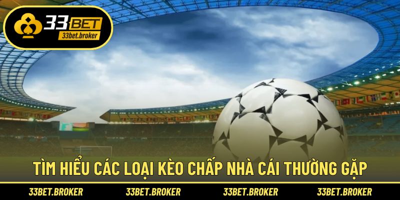 Bật mí các dạng tham gia cơ bản