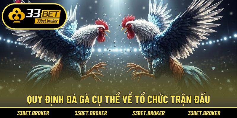 Từng quy định cụ thể của trận đấu đá gà