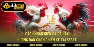 cách nhận diện gà đá hay