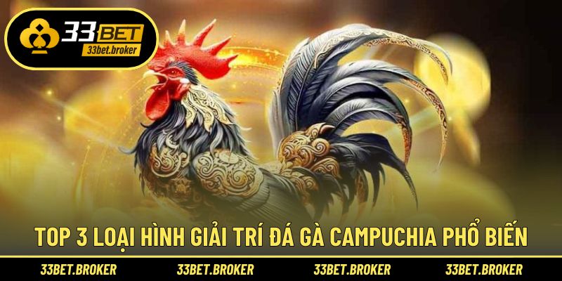 Đấu kê Campuchia được săn đón qua nhiều hình thức