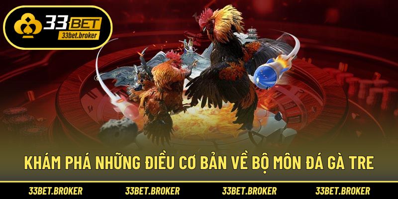 Khám phá những điều cơ bản về bộ môn đá gà tre