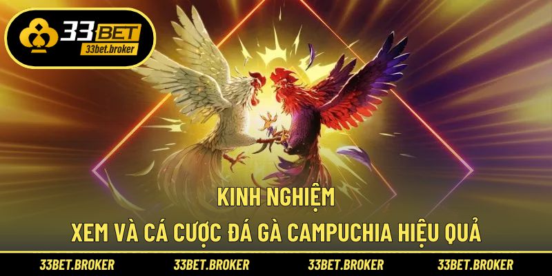 Cá cược chọn lựa chiến kê hiệu quả thắng lớn