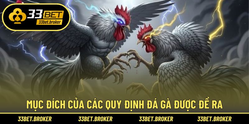 Lý do quy định đá gà được tổ chức