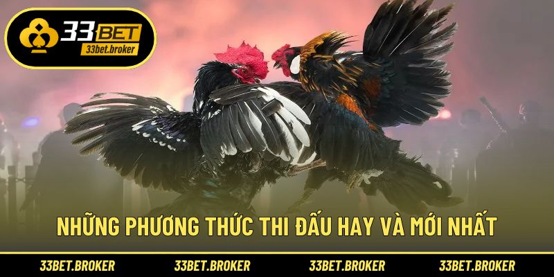 Những phương thức thi đấu hay và mới nhất