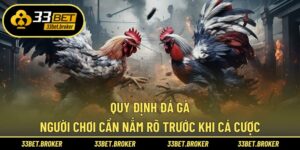 quy định đá gà