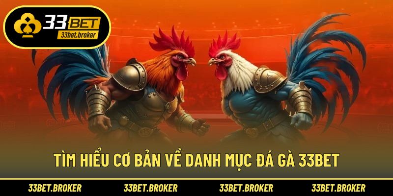 Tìm hiểu cơ bản về danh mục đá gà 33BET