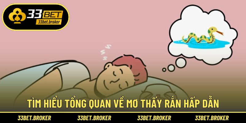 Tìm hiểu tổng quan về mơ thấy rắn hấp dẫn