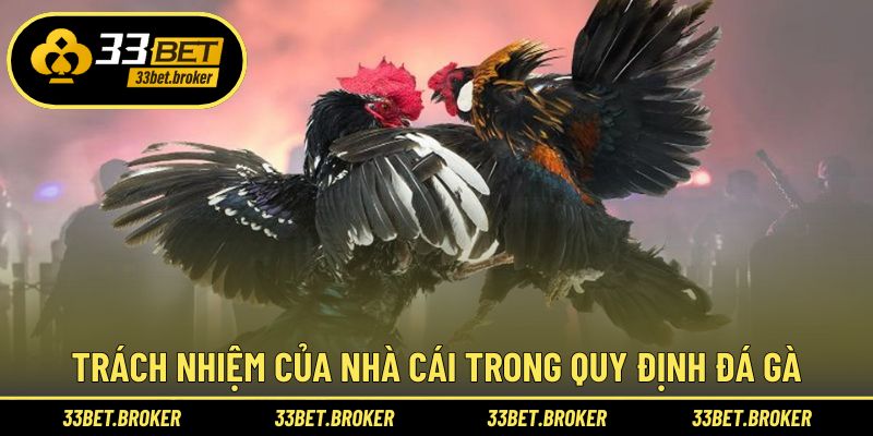 Quy định đá gà với trách nhiệm từ nhà cái